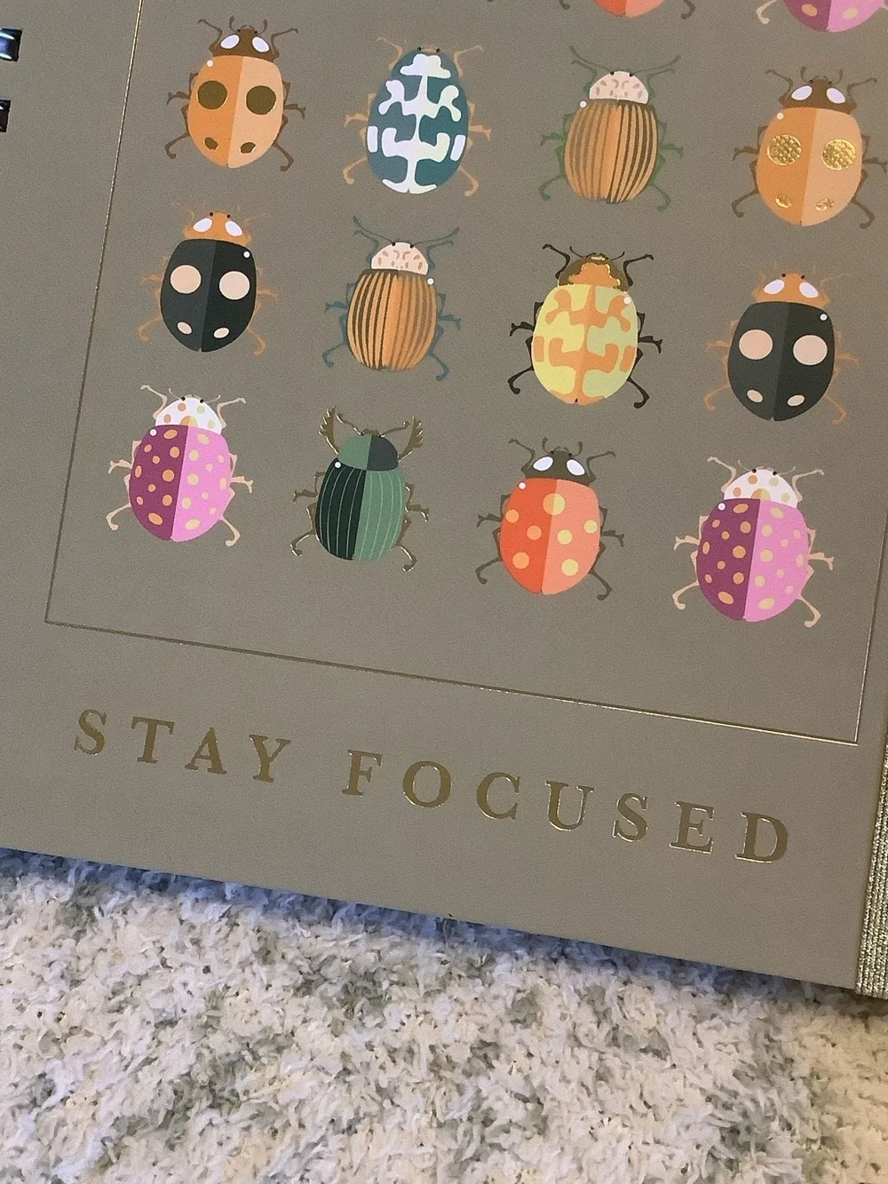 Stay Focused Spiral 3 Subject Notebook with Colorful Bug Design NWT 160pgs 8x10”